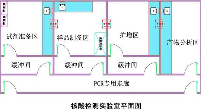 PCR實驗室平面設計