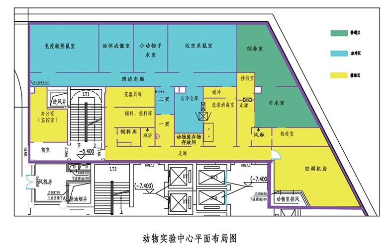 動物實驗室設(shè)計布局圖